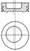 NüRAL 87-202400-10 Piston